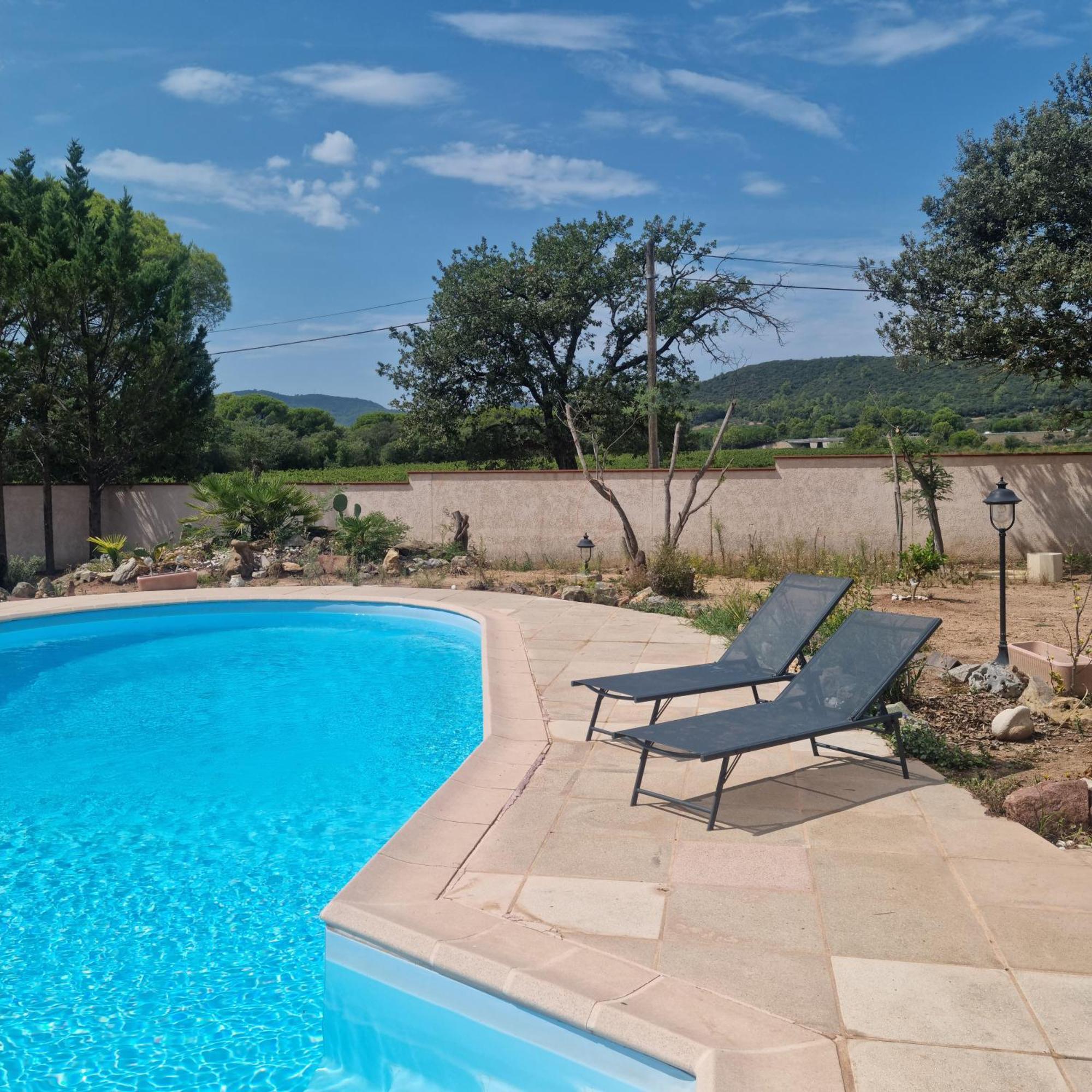 Chambre Face Aux Vignes Vidauban Exterior photo